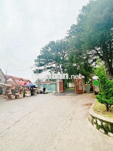 BÁN LÔ ĐẤT MAI HẮC ĐẾ, TRUNG TÂM P6 ĐÀ LẠT -Diện tích:162,88m