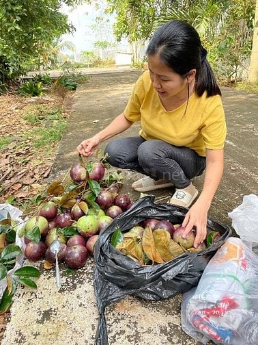 Đất vườn nghĩ dưỡng Cẩm Mỹ - Đồng Nai