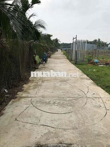 Em bán 8 nền full thổ cư ở P.Trung An cách cổng  KCN Mỹ Tho 2.1 km.