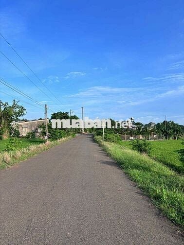 CƠ HỘI ĐẦU TƯ- ĐẤT THỔ CƯ ĐƯỜNG 15 HÒA LONG – CHÍNH CHỦ CẮT LỖ