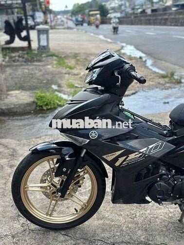 Exciter 2022