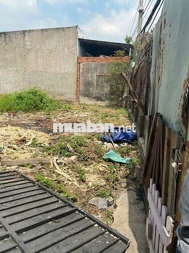 Chính chủ bán đất 448m2, sổ riêng, Lê Thị Dung, Vĩnh Lộc A, Bình Chánh