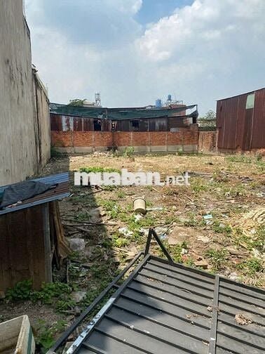 Chính chủ bán đất 448m2, sổ riêng, Lê Thị Dung, Vĩnh Lộc A, Bình Chánh