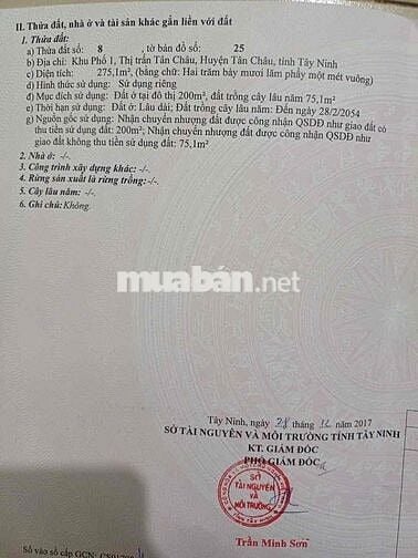 Hot🔥 vị trí đắt địa Thị Trấn Tân Châu