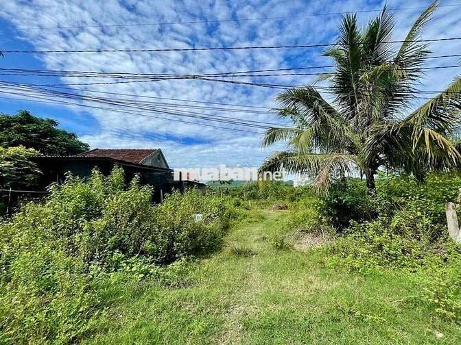 Cần Bán Lô Đất Mặt Tiền Tỉnh Lộ 2 xã Sông Cầu Khánh Vĩnh Giá Tốt