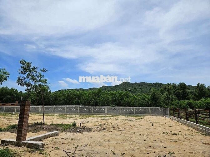 BÁN ĐẤT XÃ PHƯỚC HẢI - TP HỒ CHÍ MINH; VIEW NÚI MINH ĐẠM - C biển 4km