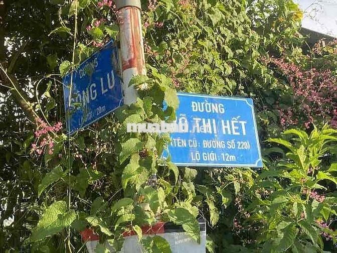 BÁN ĐẤT FULL THỔ CƯ, CỦ CHI. 105m2