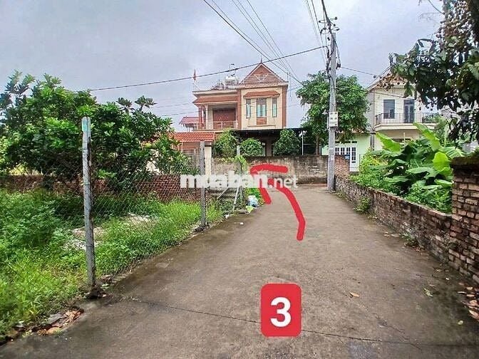 🔥Bán 50m2 LÔ GÓC Hoàng Dương, Mai Đình – Nhỏ Tiền – Công Nhân mua ở