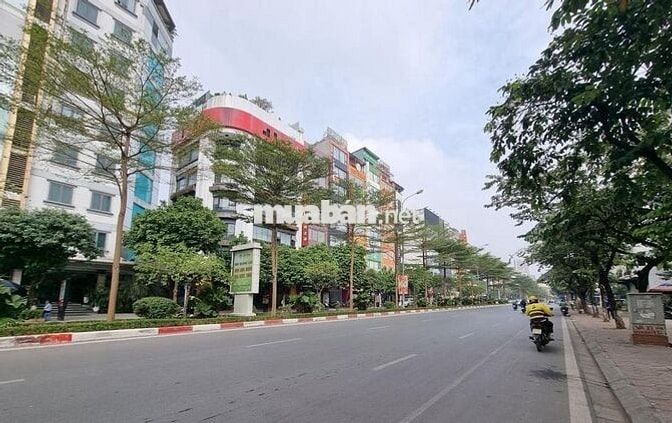 Mặt phố Trung Kính, 3 mặt đường ô tô, kinh doanh,văn phòng 200m2 52 tỷ Mặt phố Trung Kính, 3 mặt đường ô tô, kinh doanh,văn phòng 200m2 52 tỷ