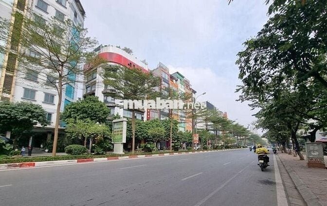 Mặt phố Trung Kính, 3 mặt đường ô tô, kinh doanh,văn phòng 200m2 52 tỷ
