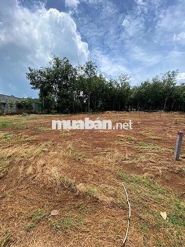 Long Hà Bình Phước 370m2, mặt tiền đg 18m, gần 2 KCN hỗ trợ vay 70%