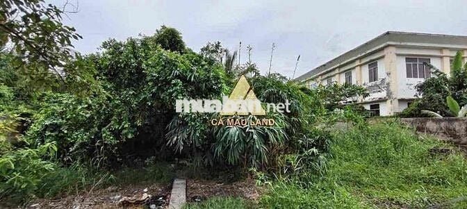 NHÀ + DÃY TRỌ MẶT TI.Ề.N QL1A – ĐẤT RỘNG, CÓ THU NHẬP SẴN – G.I.Á CHỈ