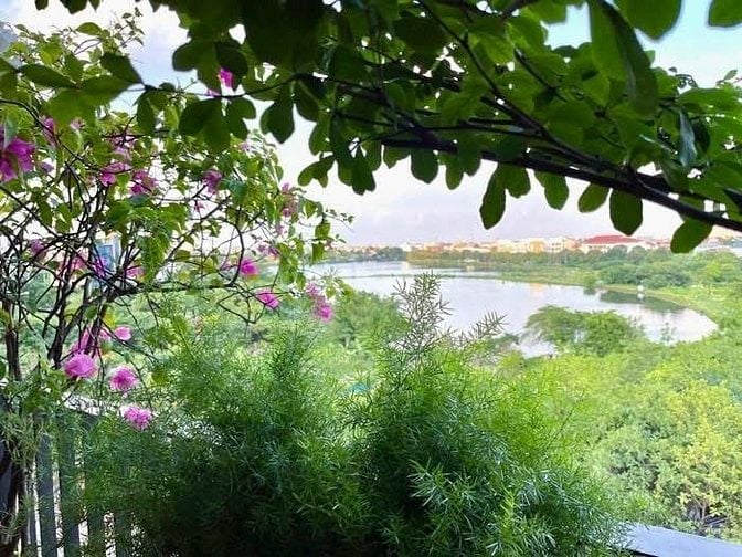 Duy nhất khu TĐC Cổ Linh, Ngõ 63, Vỉa hè oto tránh dt 50m2 mt 4.5m