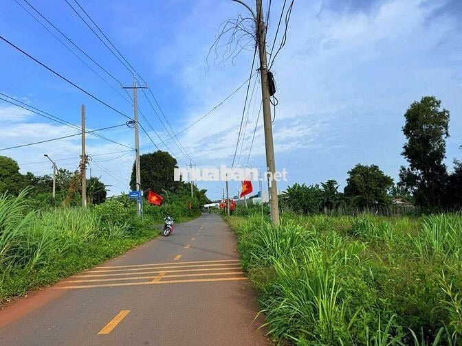 Giá Rẻ Nhất TT Đất Đỏ- 890 Triệu
Diện tích: 5x19 (96m2-60m thổ cư)