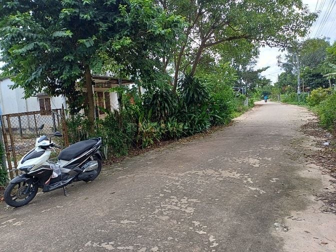 CẦN BÁN BĐS TẠI PHÚ GIÁO BÌNH DƯƠNG