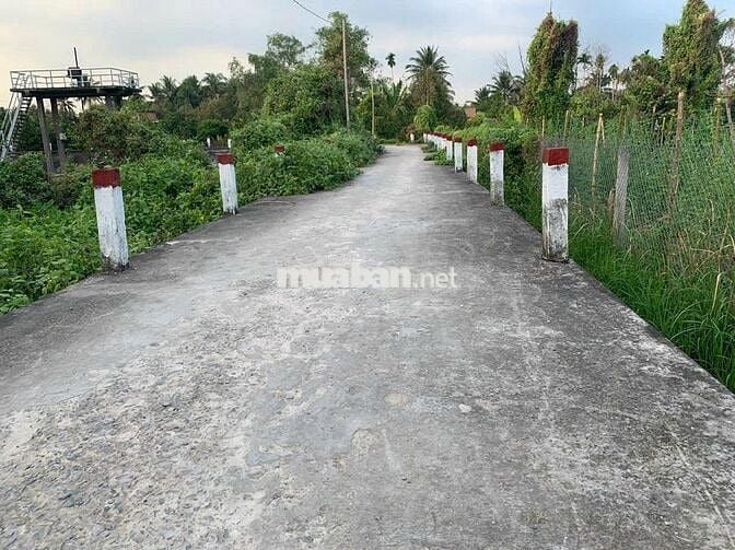 NỀN THỔ CƯ VIEW SÔNG, BÌNH YÊN, THOÁNG ĐÃNG