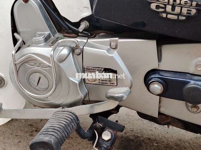 xe Cub cho học sinh và người chưa có bằng lái ạ
