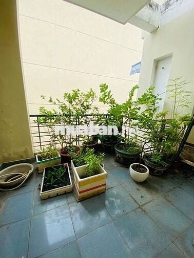 Cho Thuê hoặc Bán nhanh C/c Miếu Nổi