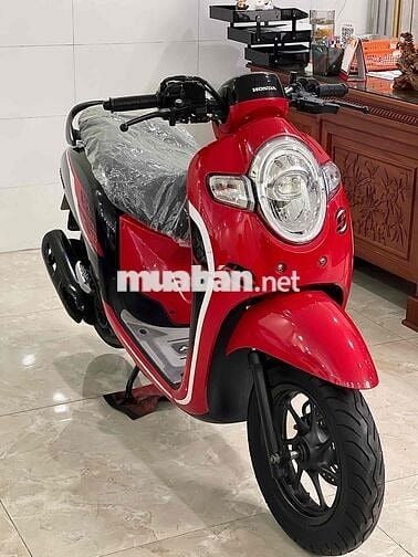 Scoopy (hàng bỏ mẫu)