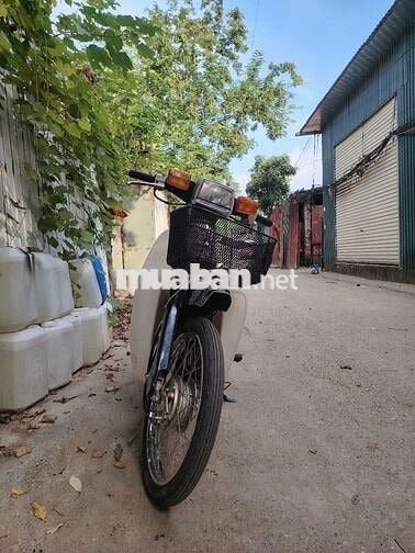 xe Cub cho học sinh và người chưa có bằng lái ạ