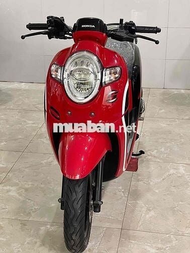Scoopy (hàng bỏ mẫu)