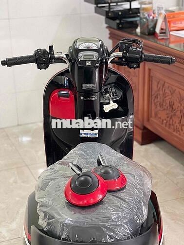 Scoopy (hàng bỏ mẫu)