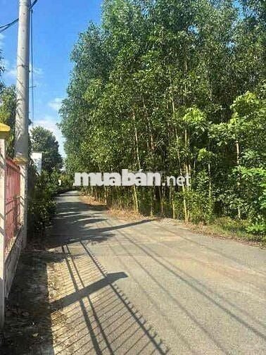Chính chủ bán đất 2 mặt tiền cách cổng sân bay Long Thành 4km