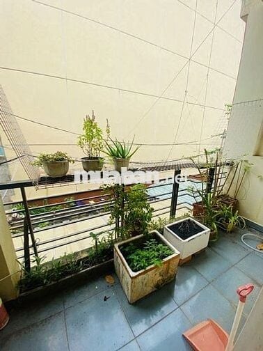 Cho Thuê hoặc Bán nhanh C/c Miếu Nổi