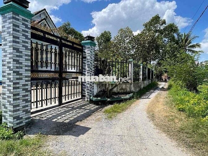 Đất xã Thanh Phú - Bến Lức Sát bên dự án Ecopark