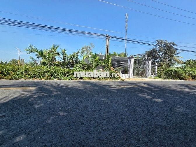 Bán gấp đất thổ cư mặt đường lộ lớn 520m2 xã Phú Điền, tỉnh Đồng Tháp