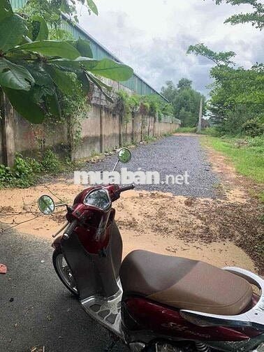 CẦN BÁN ĐẤT THỔ CƯ XÃ LỘC AN, LONG THÀNH, ĐỒNG NAI