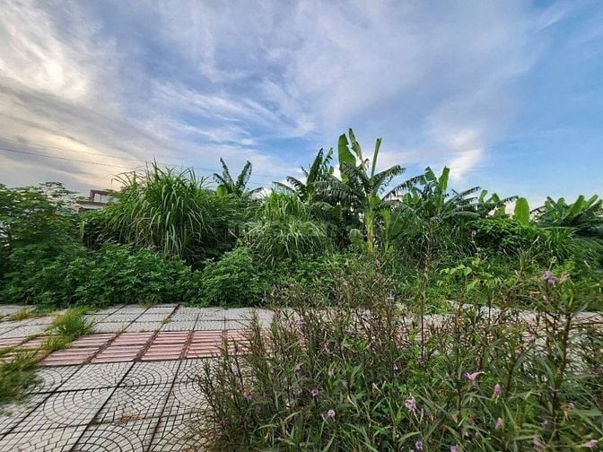 Cần bán lô đất 105m2 tại Mặt Máng nước, An Đồng, An Dương, Hp