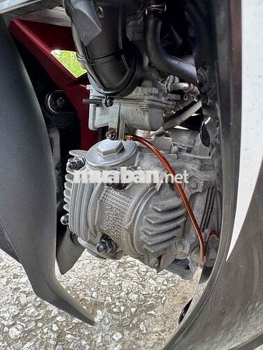 sirut cọp cái máy chất lượng khỏi bàn