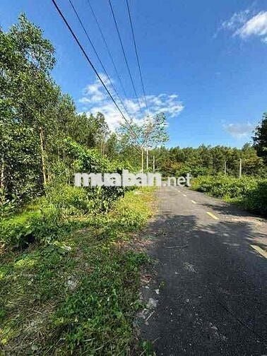 Chính chủ bán đất 2 mặt tiền cách cổng sân bay Long Thành 4km