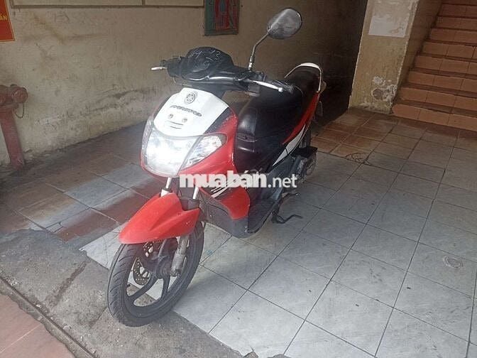 Yamaha Nouvo một đèn zin cổ kiểng caphegiầy tờ TP
