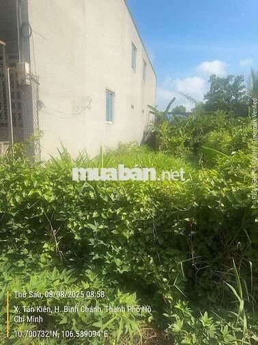 Bán đất thổ cư 80m Tân kiên cũ tân Nhựt Mới