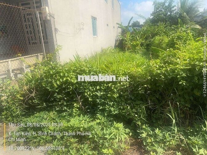 Bán đất thổ cư 80m Tân kiên cũ tân Nhựt Mới