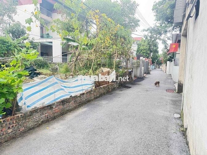 VIP LỄ PHÁP - KHUÂN TIỀN NHỈNH 5tỷ ĐƯỜNG THÔNG OTO - SAU QUY HOẠCH RA