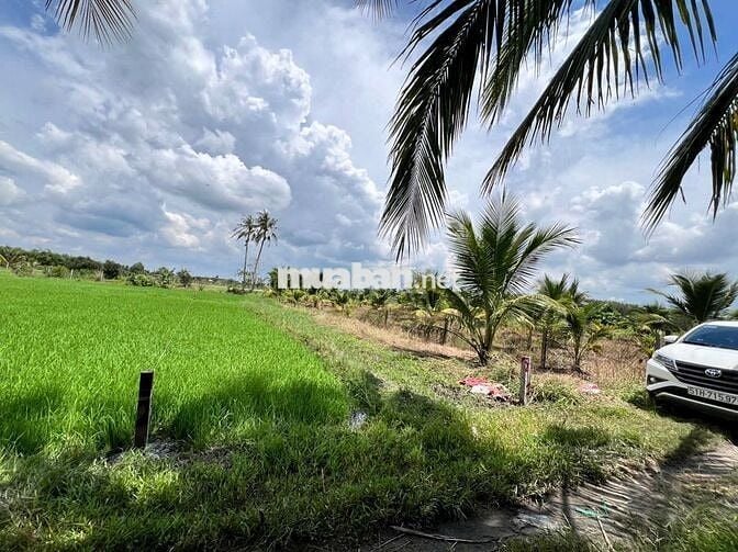 Đất phường siêu đẹp ,giá siêu ngộp, 500m2 chỉ 7xx tr