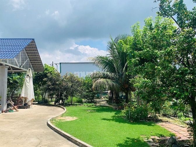 BÁN BIỆT THỰ SÂN VƯỜN - SÂN GOLF MINI