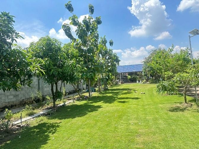 BÁN BIỆT THỰ SÂN VƯỜN - SÂN GOLF MINI
