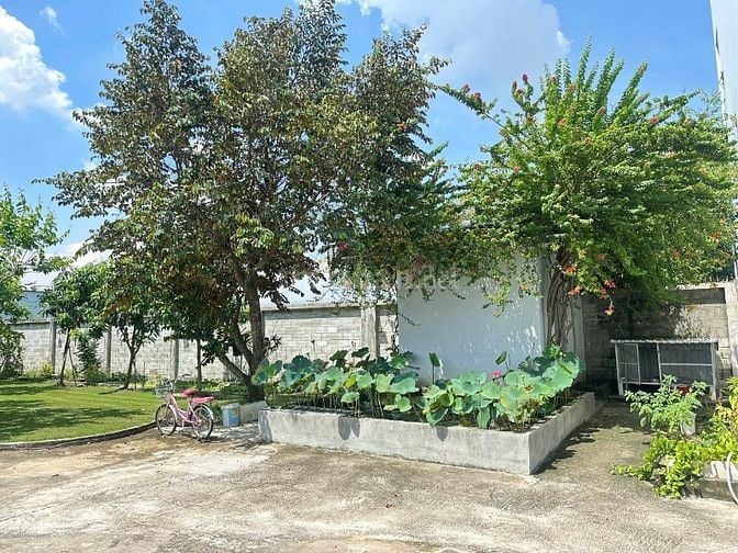 BÁN BIỆT THỰ SÂN VƯỜN - SÂN GOLF MINI