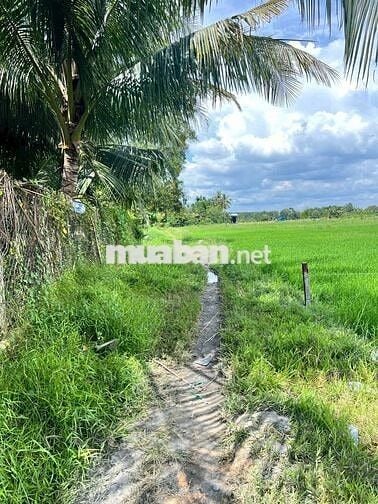 Đất phường siêu đẹp ,giá siêu ngộp, 500m2 chỉ 7xx tr