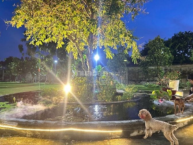 BÁN BIỆT THỰ SÂN VƯỜN - SÂN GOLF MINI