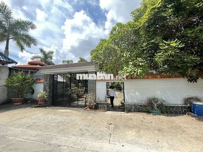 Bán đấu giá đất: 607m2,(300m2 thổ cư) hẻm đường Hùng Vương, NT, DN