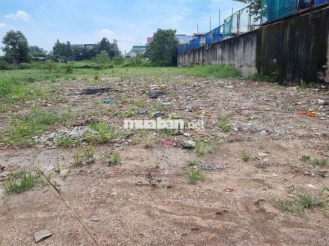 Bán đất thồ cư DT 1000m MT kinh đang làm nhựa 15m