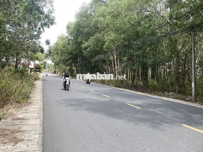 Bán đấu giá đất: 953m2. Mặt tiền đường Cây Dầu, xã Nhơn Trạch, ĐN