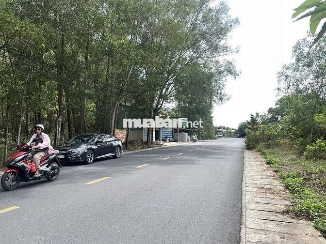 Bán đấu giá đất: 953m2. Mặt tiền đường Cây Dầu, xã Nhơn Trạch, ĐN