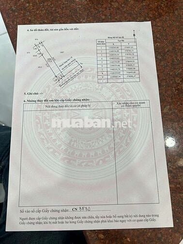 5×35=171mv THỔ ,MẶT TIỀN NHỰA ,NGÃ TƯ LẠC TẤN ,TÂN TRỤ