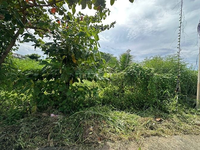 Siêu Phẩm 28x35 Lô 2 Lý Thái Tổ, Tân Tiến Gần Biển Giá Siêu Tốt